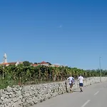Traditional Stone House With Swimming Pool Lumbarda