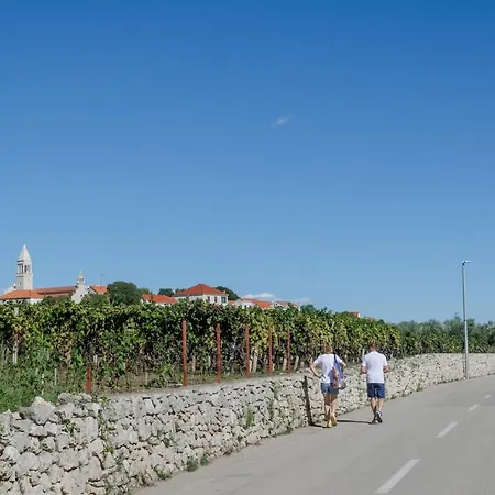 Traditional Stone House With Swimming Pool Lumbarda